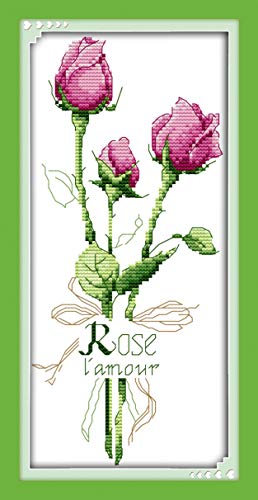 OWN4B Kreuzstich Stickpackungen Vorgedruckt, Rose Blumen Bilder 11CT 7,9x15,4 Zoll DIY Stickpackung Set von OWN4B