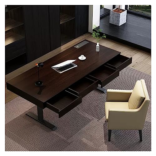 Elektrischer Stehpult-Gaming-Schreibtisch mit Schubladen und Zwei Motoren, Büro-Heimcomputer-Chef-Schreibtisch – modernes, intelligentes Design, B, Schwarz, 120 cm von OWOHYG