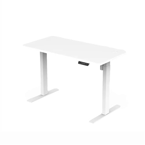 Stehpult, elektrisch höhenverstellbar, 120 x 60 cm, Memory-Höhen, ergonomischer Computertisch aus Holz für das Home Office, Stehtisch von OWOHYG