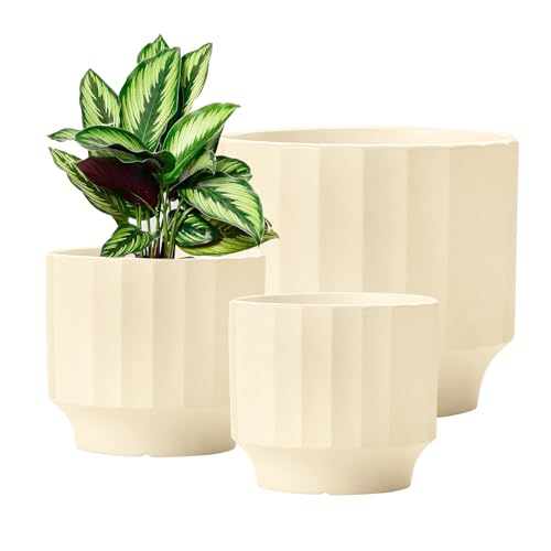 OXART 7.6/6.2/5 Kleiner Pflanztopf Keramik Übertopf 3er Set mit Drainageloch Modern Pflanztopf für Innen- und Außenbereich Home Garden Blumentöpfe für Pflanzen Kakteen, Sukkulenten, Schlangen und OXART 7.6/6.2/5 Kleiner Pflanztopf Keramik Übertopf 3er Set mit Drainageloch Modern Pflanztopf für Innen- und Außenbereich Home Garden Blumentöpfe für Pflanzen Kakteen, Sukkulenten, Schlangen und von OXART