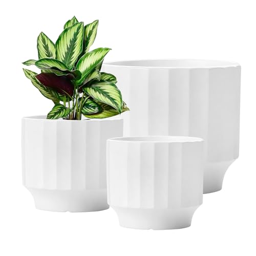 OXART 7.6/6.2/5 Kleiner Pflanztopf Keramik Übertopf 3er Set mit Drainageloch Modern Pflanztopf für Innen- und Außenbereich Home Garden Blumentöpfe für Pflanzen Kakteen, Sukkulenten, Schlangen und von OXART