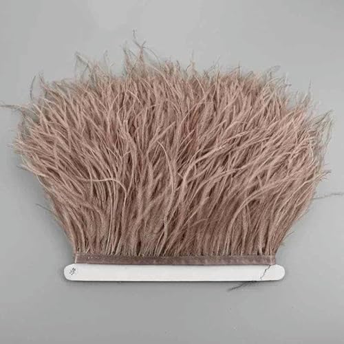10 Meter Straußenfedern-Bandband, 10–15 cm, 10–15 cm, Quastenfransenbesatz, Kleidung, Nähen, weißes Kleidungszubehör, Nr. 8 10 Meter Straußenfedern-Bandband, 10–15 cm, 10–15 cm, Quastenfransenbesatz, Kleidung, Nähen, weißes Kleidungszubehör, Nr. 8 von OXFYY