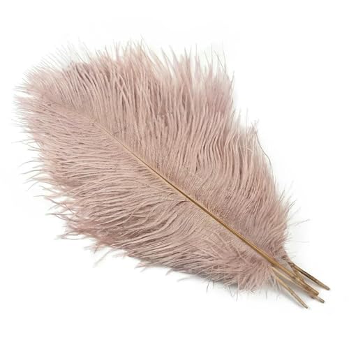 10 Stück/Los 25–60 cm Straußenfedern zum Basteln, für Hochzeiten, Partys, Dekorationen, Straußenfedern, Tischdekoration, weiße Federn, Dekoration, Schleier rosa, 55–60 cm, 24–26 Zoll 10 Stück/Los 25–60 cm Straußenfedern zum Basteln, für Hochzeiten, Partys, Dekorationen, Straußenfedern, Tischdekoration, weiße Federn, Dekoration, Schleier rosa, 55–60 cm, 24–26 Zoll von OXFYY