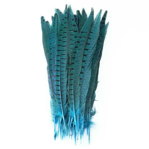 10 Stück natürliche weibliche Fasanenschwanzfedern für Hochzeiten, Basteln, Federn, Schmuckherstellung, Dekorationen, Partys, Dekorfedern, 25–30 cm, Seeblau, 20 Stück 10 Stück natürliche weibliche Fasanenschwanzfedern für Hochzeiten, Basteln, Federn, Schmuckherstellung, Dekorationen, Partys, Dekorfedern, 25–30 cm, Seeblau, 20 Stück von OXFYY