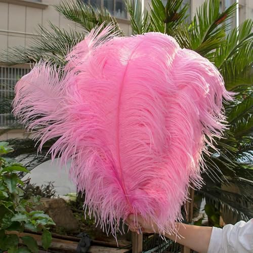 10 Stück rote Straußenfedern, lose, 15–60 cm, natürliche Federn für Kunsthandwerk, Hochzeit, Party, Tischdekoration, Karneval, Plumas-Dunkelrosa-50–60 cm, 22–24 Zoll 10 Stück rote Straußenfedern, lose, 15–60 cm, natürliche Federn für Kunsthandwerk, Hochzeit, Party, Tischdekoration, Karneval, Plumas-Dunkelrosa-50–60 cm, 22–24 Zoll von OXFYY