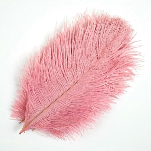 10 Stück weiße Straußenfedern zum Basteln, 10–15 cm, Hochzeitsfeier, Heimdekoration, natürliche Federn, Straußenfedern, Federn decorativas-pink 10 Stück weiße Straußenfedern zum Basteln, 10–15 cm, Hochzeitsfeier, Heimdekoration, natürliche Federn, Straußenfedern, Federn decorativas-pink von OXFYY