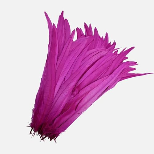 100 Stück 25–45 cm DIY Hahnenfedern Basteln Nähen Kleidung Dekor Federn Home Party Damen Feder Kopfbedeckung Hochzeitszubehör-Rosenrot-100 Stück-35–40 cm 100 Stück 25–45 cm DIY Hahnenfedern Basteln Nähen Kleidung Dekor Federn Home Party Damen Feder Kopfbedeckung Hochzeitszubehör-Rosenrot-100 Stück-35–40 cm von OXFYY