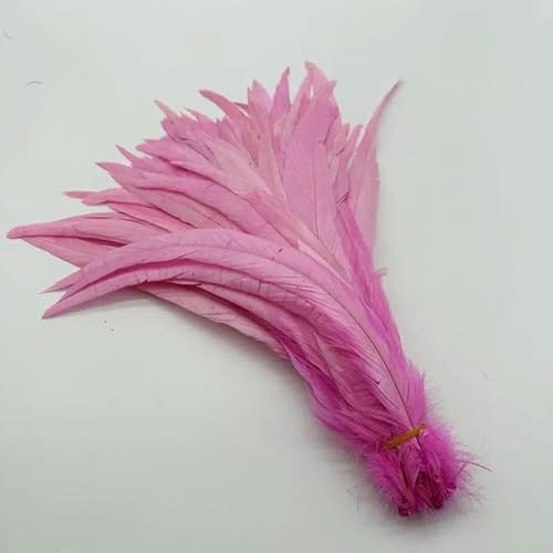 100 Stück Hahnenschwanzfedern, schwärzlich-grün, 25–45 cm, natürliche Federn, beige, DIY-Hahn, Kleidung, Schmuck, Zubehör, Party, Pink, 25–30 cm 100 Stück Hahnenschwanzfedern, schwärzlich-grün, 25–45 cm, natürliche Federn, beige, DIY-Hahn, Kleidung, Schmuck, Zubehör, Party, Pink, 25–30 cm von OXFYY