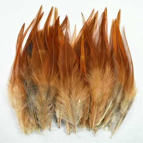 20 Stück Fasanenfedern zur Schmuckherstellung, Dekoration, Traumfänger, Fliegenbindematerialien, Bastelzubehör, Handarbeiten, Natur 1 20 Stück Fasanenfedern zur Schmuckherstellung, Dekoration, Traumfänger, Fliegenbindematerialien, Bastelzubehör, Handarbeiten, Natur 1 von OXFYY