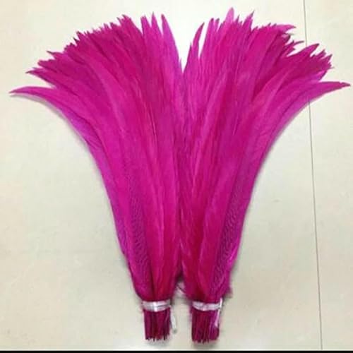 20 Stück bunte silberne Hühnerschwanzfedern, Länge 40–65 cm, dekorative Federn für Hochzeitstänze und Shows, Rose, 55–60 cm, 22–24 Zoll 20 Stück bunte silberne Hühnerschwanzfedern, Länge 40–65 cm, dekorative Federn für Hochzeitstänze und Shows, Rose, 55–60 cm, 22–24 Zoll von OXFYY