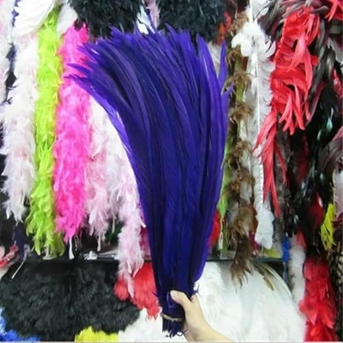 20 Stück bunte silberne Hühnerschwanzfedern, Länge 40–65 cm, dekorative Federn für Hochzeitstänze und Shows, lila, 45–50 cm, 18–20 Zoll 20 Stück bunte silberne Hühnerschwanzfedern, Länge 40–65 cm, dekorative Federn für Hochzeitstänze und Shows, lila, 45–50 cm, 18–20 Zoll von OXFYY