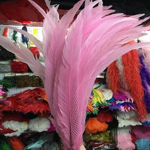 20 Stück bunte silberne Hühnerschwanzfedern, Länge 40–65 cm/16–26 Zoll, dekorative Federn für Hochzeitstänze und Shows, Rosa, 40–45 cm, 16–18 Zoll 20 Stück bunte silberne Hühnerschwanzfedern, Länge 40–65 cm/16–26 Zoll, dekorative Federn für Hochzeitstänze und Shows, Rosa, 40–45 cm, 16–18 Zoll von OXFYY