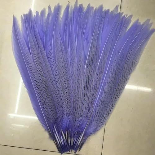 20 Stück bunte silberne Hühnerschwanzfedern, Länge 40–65 cm/16–26 Zoll, dekorative Federn für Hochzeitstänze und Shows-Hellviolett-60–65 cm 24–26 Zoll 20 Stück bunte silberne Hühnerschwanzfedern, Länge 40–65 cm/16–26 Zoll, dekorative Federn für Hochzeitstänze und Shows-Hellviolett-60–65 cm 24–26 Zoll von OXFYY