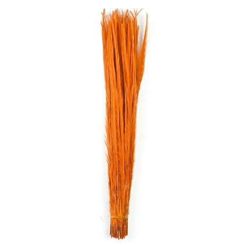 35–60 cm natürliche Fasanenschwanzfedern, Federbüsche, Haarverlängerungen, Hochzeitsdekoration, DIY-Bastelarbeiten, Partydekoration, Orange, 50–55 cm 35–60 cm natürliche Fasanenschwanzfedern, Federbüsche, Haarverlängerungen, Hochzeitsdekoration, DIY-Bastelarbeiten, Partydekoration, Orange, 50–55 cm von OXFYY