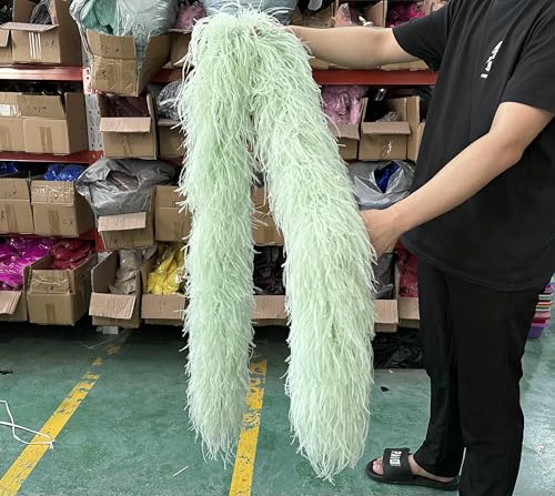 4 Meter Straußenfedern Boa 2 6 8 10 20-lagig Dicke Straußenboa Flauschige Federbesatz für Kleidung Hochzeitskleid Dekor Federschal-Vanillegrün-6-lagig von OXFYY