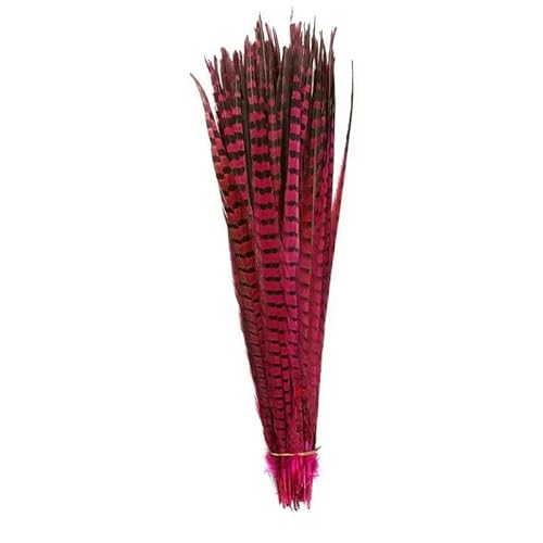40–45 cm, 16–18 Zoll, Ringfasanenschwanzfedern zur Schmuckherstellung, Federn zum Basteln, Fasanenfeder, Karnevalszubehör, Federbusch, Rosarot_a, 100 Stück 40–45 cm, 16–18 Zoll, Ringfasanenschwanzfedern zur Schmuckherstellung, Federn zum Basteln, Fasanenfeder, Karnevalszubehör, Federbusch, Rosarot_a, 100 Stück von OXFYY