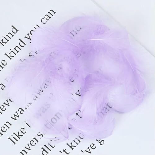 50/100 Stück/Los Gänsefedern 5–8 cm natürlicher Schwan, kleine Feder, DIY-Farbe, Bühnen-Hochzeitsdekoration, Schmuckzubehör, Federn, Hellviolett, 50 Stück 50/100 Stück/Los Gänsefedern 5–8 cm natürlicher Schwan, kleine Feder, DIY-Farbe, Bühnen-Hochzeitsdekoration, Schmuckzubehör, Federn, Hellviolett, 50 Stück von OXFYY