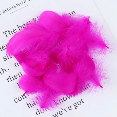 50/100 Stück/Los Gänsefedern 5–8 cm natürlicher Schwan, kleine Feder, DIY-Farbe, Bühnen-Hochzeitsdekoration, Schmuckzubehör, Plumas-Rose-50 Stück 50/100 Stück/Los Gänsefedern 5–8 cm natürlicher Schwan, kleine Feder, DIY-Farbe, Bühnen-Hochzeitsdekoration, Schmuckzubehör, Plumas-Rose-50 Stück von OXFYY