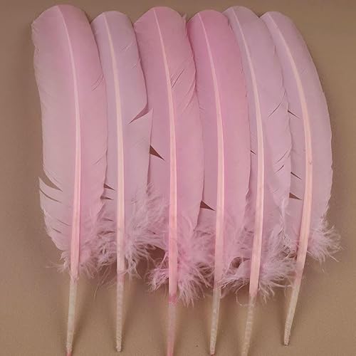Flügel Truthahnfedern zum Basteln 25-30cm Große Gänsefeder Basteln Weiß Schwarz Stift Artikel Zubehör Karneval-pink-200pcs Flügel Truthahnfedern zum Basteln 25-30cm Große Gänsefeder Basteln Weiß Schwarz Stift Artikel Zubehör Karneval-pink-200pcs von OXFYY