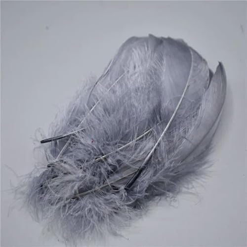 Natürliche königsblaue Nagoire-Gänsefedern zum Basteln, 13–18 cm, DIY-Schmuck, Kleidungszubehör, Hochzeitsdekoration, Hellgrau, 20 Stück Natürliche königsblaue Nagoire-Gänsefedern zum Basteln, 13–18 cm, DIY-Schmuck, Kleidungszubehör, Hochzeitsdekoration, Hellgrau, 20 Stück von OXFYY