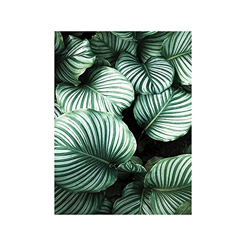 OYFFL Tropische Pflanzen Leinwandmalerei Sukkulenten Poster Palmblatt Monstera Botanical Prints Wandkunst Poster für Raumdekor (30 * 40cm Rahmenlos,6) von OYFFL