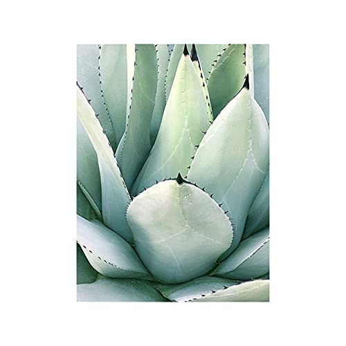 OYFFL Tropische Pflanzen Leinwandmalerei Sukkulenten Poster Palmblatt Monstera Botanical Prints Wandkunst Poster für Raumdekor (30 * 40cm Rahmenlos,9) von OYFFL