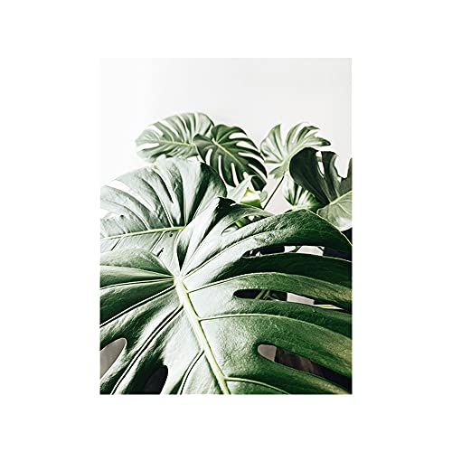 OYFFL Tropische Pflanzen Leinwandmalerei Sukkulenten Poster Palmblatt Monstera Botanical Prints Wandkunst Poster für Raumdekor (50 * 70cm Rahmenlos,1) von OYFFL