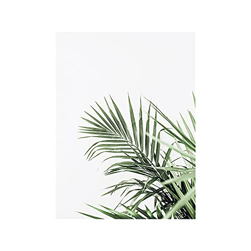 OYFFL Tropische Pflanzen Leinwandmalerei Sukkulenten Poster Palmblatt Monstera Botanical Prints Wandkunst Poster für Raumdekor (50 * 70cm Rahmenlos,2) von OYFFL