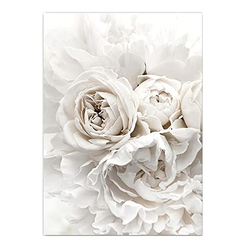 OYFFL Weiße Blumen Pfingstrose Rosen Wandkunst Leinwand Malerei Poster Frische Elegante Leinwand Malerei Bilder Für Zuhause Wohnzimmer Dekor (10,20x30cm Kein Rahmen) von OYFFL