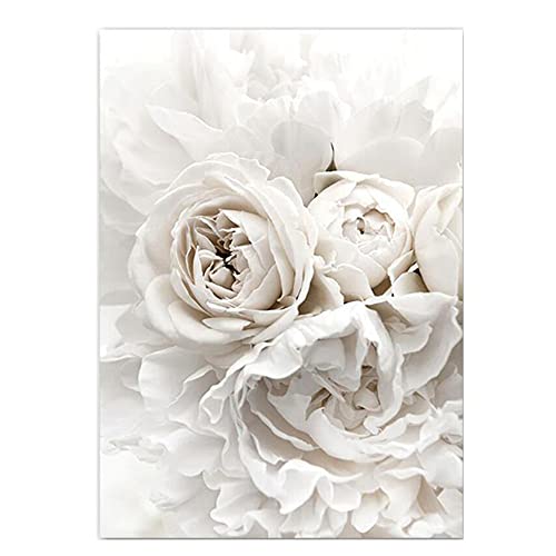 OYFFL Weiße Blumen Pfingstrose Rosen Wandkunst Leinwand Malerei Poster Frische Elegante Leinwand Malerei Bilder Für Zuhause Wohnzimmer Dekor (10,50x70cm Kein Rahmen) von OYFFL