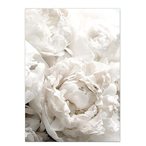 OYFFL Weiße Blumen Pfingstrose Rosen Wandkunst Leinwand Malerei Poster Frische Elegante Leinwand Malerei Bilder Für Zuhause Wohnzimmer Dekor (11,30x40cm Kein Rahmen) von OYFFL