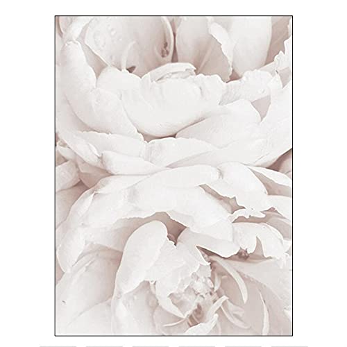 OYFFL Weiße Blumen Pfingstrose Rosen Wandkunst Leinwand Malerei Poster Frische Elegante Leinwand Malerei Bilder Für Zuhause Wohnzimmer Dekor (12,30x40cm Kein Rahmen) von OYFFL