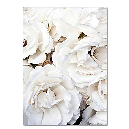OYFFL Weiße Blumen Pfingstrose Rosen Wandkunst Leinwand Malerei Poster Frische Elegante Leinwand Malerei Bilder Für Zuhause Wohnzimmer Dekor (16,30x40cm Kein Rahmen) von OYFFL