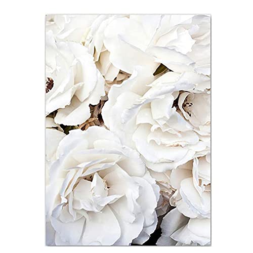 OYFFL Weiße Blumen Pfingstrose Rosen Wandkunst Leinwand Malerei Poster Frische Elegante Leinwand Malerei Bilder Für Zuhause Wohnzimmer Dekor (16,50x70cm Kein Rahmen) von OYFFL