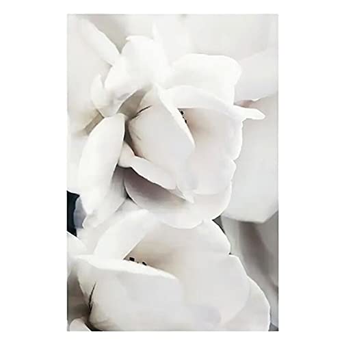 OYFFL Weiße Blumen Pfingstrose Rosen Wandkunst Leinwand Malerei Poster Frische Elegante Leinwand Malerei Bilder Für Zuhause Wohnzimmer Dekor (2,20x30cm Kein Rahmen) von OYFFL