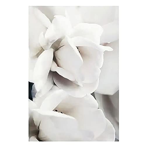 OYFFL Weiße Blumen Pfingstrose Rosen Wandkunst Leinwand Malerei Poster Frische Elegante Leinwand Malerei Bilder Für Zuhause Wohnzimmer Dekor (2,50x70cm Kein Rahmen) von OYFFL