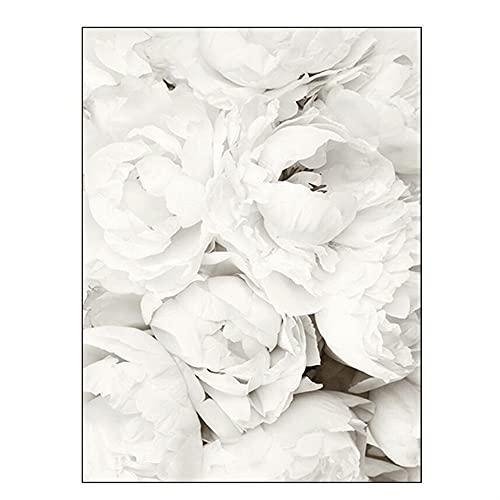 OYFFL Weiße Blumen Pfingstrose Rosen Wandkunst Leinwand Malerei Poster Frische Elegante Leinwand Malerei Bilder Für Zuhause Wohnzimmer Dekor (9,30x40cm Kein Rahmen) von OYFFL