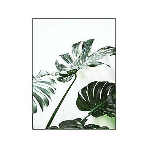OYFFL Weiße Tulpe Grüne Aloe Monstera Palm Poster Pflanze Kunst Leinwand Malerei Nordic Poster Und Drucke Wandbilder Für Wohnkultur (7,30x40cm Kein Rahmen) von OYFFL