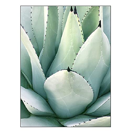 OYFFL Weiße Tulpe Grüne Sukkulenten Aloe Monstera Pflanze Kunst Leinwand Malerei Nordic Poster und Druckwandbilder für Wohnzimmerdekoration (9,30x40cm Kein Rahmen) von OYFFL
