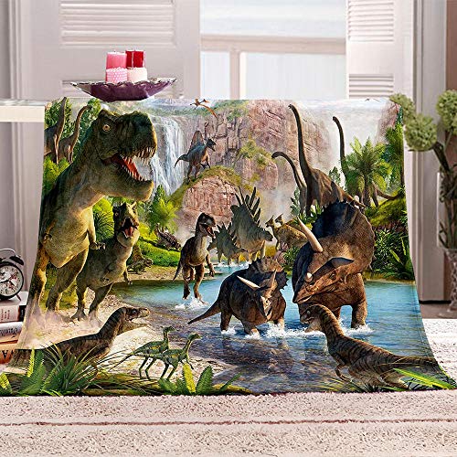 Dinosaurier Kuscheldecke Fleecedecke 3D Dinosaurier Tiere Wohndecke 150x200cm Flauschige Weich Microfaser Sofadecke Überwurf Decken für Couch Sofa Betten von OYIFTJ