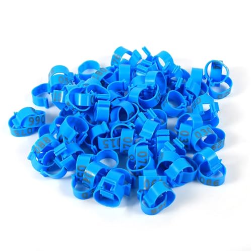 100 Stück 5 Farben Hühner-/Entenbeinringe Gänse-Tieridentifikationswerkzeug 16 mm Fuß Blankoetikett Schnallen Band Clip-On Ringe(Blue) von OZLCUA