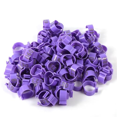 100 Stück 5 Farben Hühner-/Entenbeinringe Gänse-Tieridentifikationswerkzeug 16 mm Fuß Blankoetikett Schnallen Band Clip-On Ringe(PURPLE) von OZLCUA