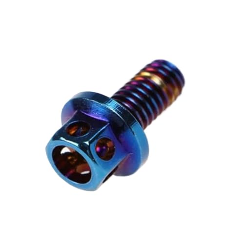 OZLIYY 1-3 Stück M4 M5 M6 M8 M10 Brennschraube 304 Edelstahl mit blau plattierten, glodenfarbenen Sechskantschrauben mit Flanschkopf(Burn Blue,M8X10 2PCS) von OZLIYY