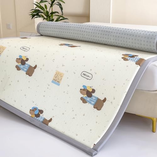 OZLMBERN Home Soft Matratzen Mietzimmer Schwamm Matte Tatami Bettmatte Student Einzelbettmatratze von OZLMBERN