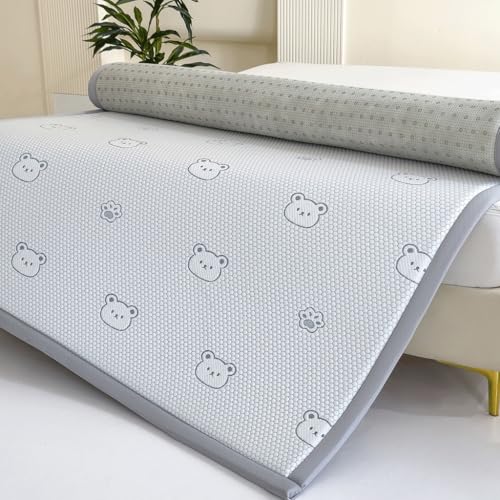 OZLMBERN Home Soft Matratzen Mietzimmer Schwamm Matte Tatami Bettmatte Student Einzelbettmatratze von OZLMBERN