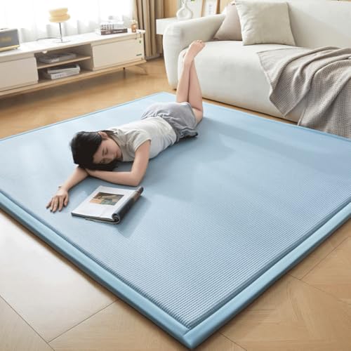 OZLMBERN Sommer Coolness Bodenmatten Weiche Kissen EIS Seidenkühlmatten Bodenmatten Heimschlafzimmerbetten Matratzen Matratzen OZLMBERN Sommer Coolness Bodenmatten Weiche Kissen EIS Seidenkühlmatten Bodenmatten Heimschlafzimmerbetten Matratzen Matratzen von OZLMBERN