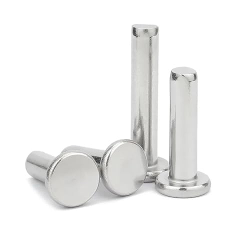 5/50 Stück M1.5 M2 M2.5 M3 M4 M5 M6 M8 GB109 304 Edelstahl Flachrundkopf Vollniete Selbststeckende Schlagniet-Nagelschrauben(50Pcs M2,3mm) von OZXZH