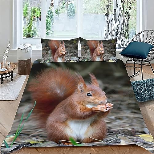 OakiTa EichhöRnchen BettwäSche Set Kinder Braunes EichhöRnchen 3D Mikrofaser 3D-Digitaldruck Bettbezug mit Reißverschluss Und 2 Kissenbezüge 80x80 cm (A02,135x200cm/80x80cm) von OakiTa