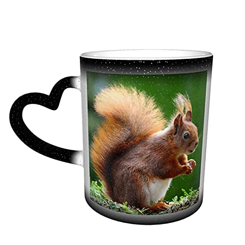 Oaieltj Wärmewechsel-Tasse, Eichhörnchen-Motiv, personalisierbar, wärmeempfindlich, für Milch, Tee, magische Kaffeetassen, geschnittene Tassen von Oaieltj