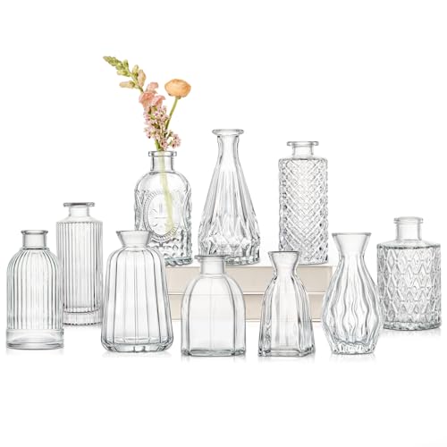 10er-Set Kleine Vasen Kleine Glasvase Vintage Deko Vasen Set Blumendekoration für Tischdeko Mittelstücke, Hochzeitsdekorationen, Blumen Deko Wohnzimmer Bad Muttertagsgeschenk, Transparent von Oairse